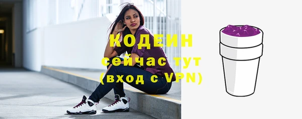 молекула духа Богородицк