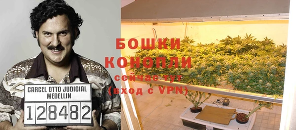 молекула духа Богородицк