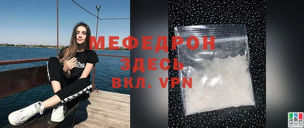молекула духа Богородицк