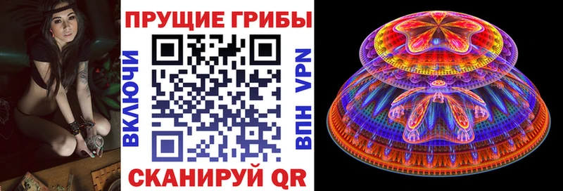 мега как зайти  Голицыно  Галлюциногенные грибы мицелий 